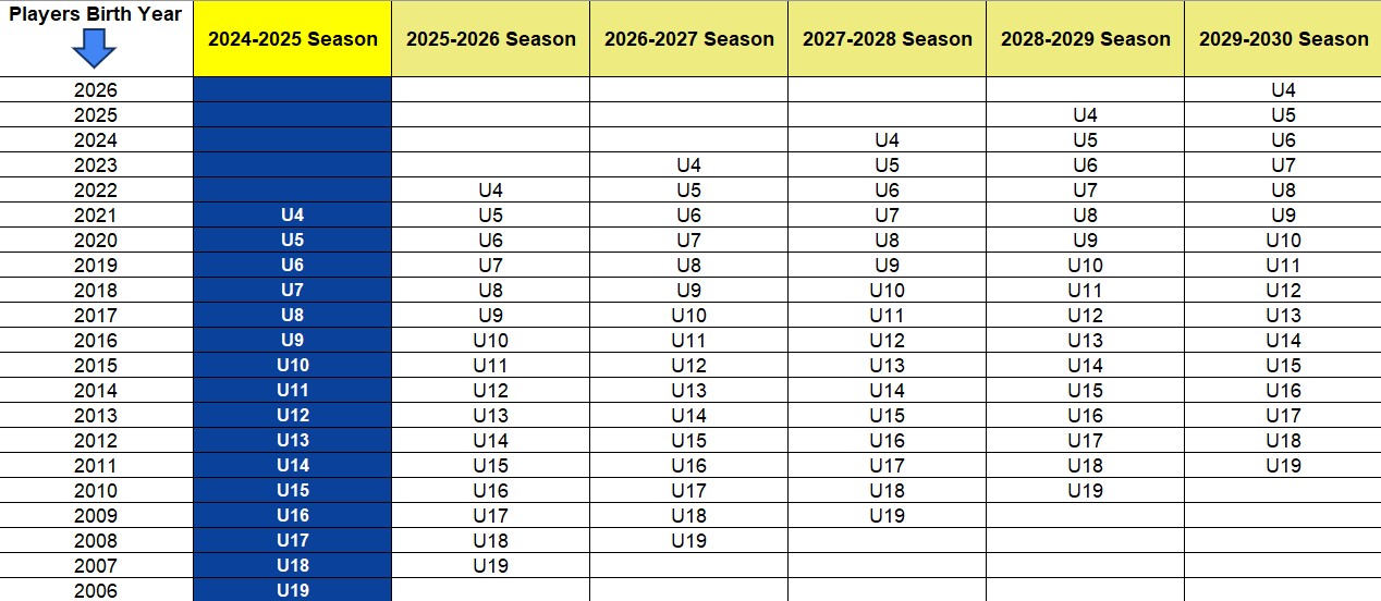 US Soccer Birth Year Matrix